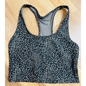 Evolution & Creation sports bra